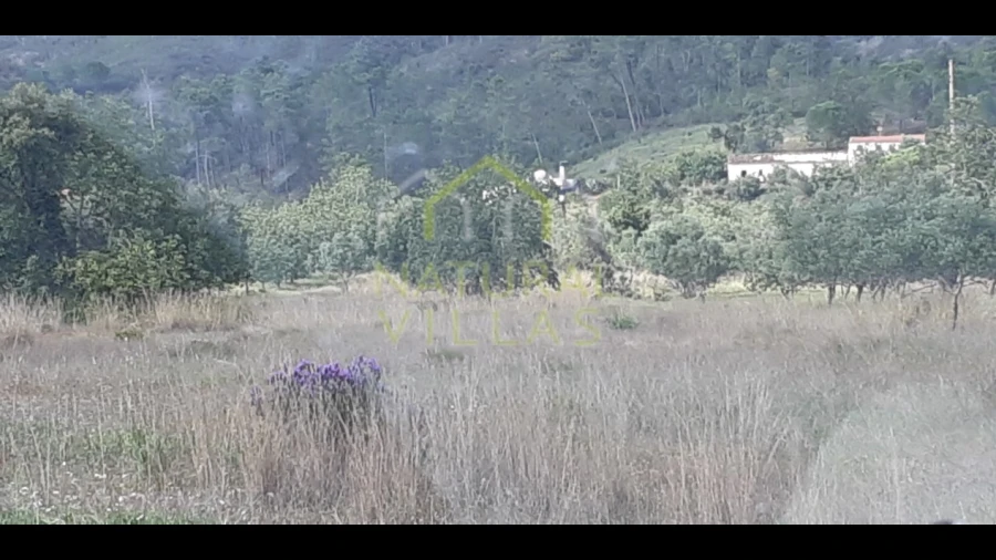 Terreno Agricola ou Rústico para Venda em Salir