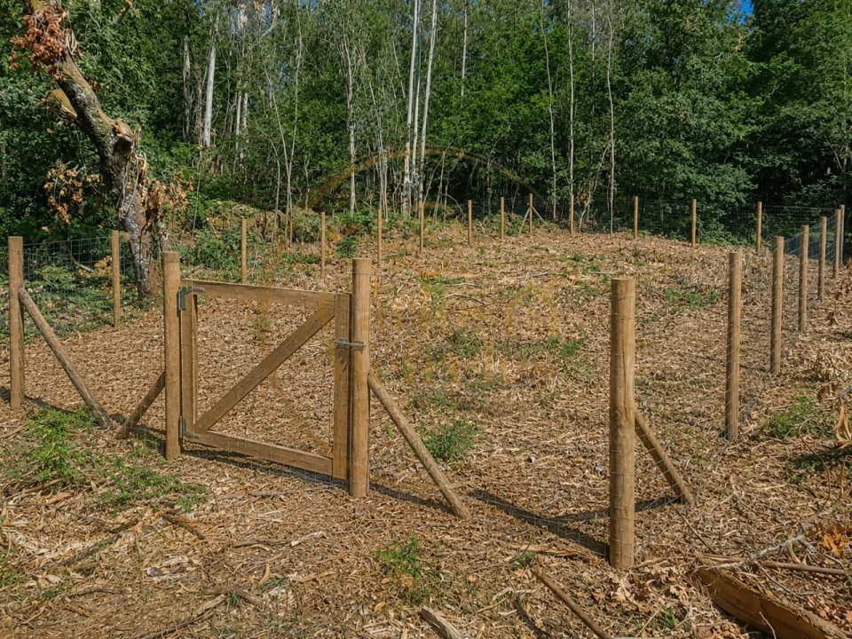 Terreno Agricola ou Rústico para Venda em Ribeira do Neiva Foto 2