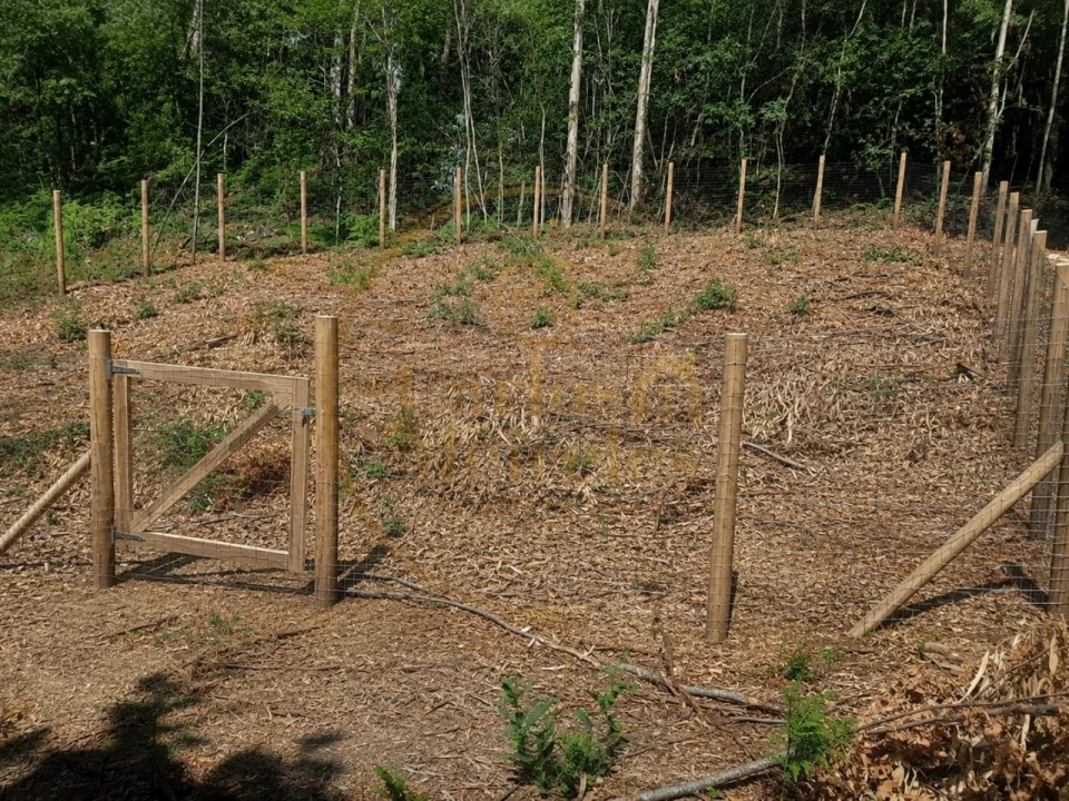 Terreno Agricola ou Rústico para Venda em Ribeira do Neiva Foto 3