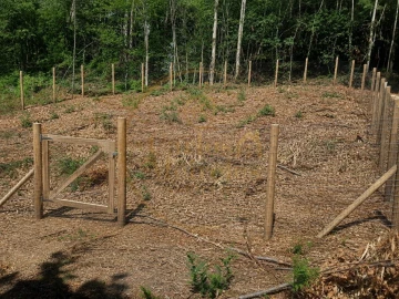 Terreno Agricola ou Rústico para Venda em Ribeira do Neiva