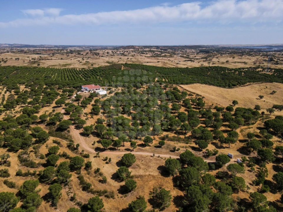 Quinta T4 para Venda em Ourique Foto 5