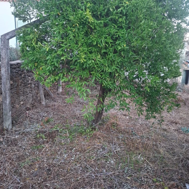 Moradia T2 para Venda em Sardoal Foto 9