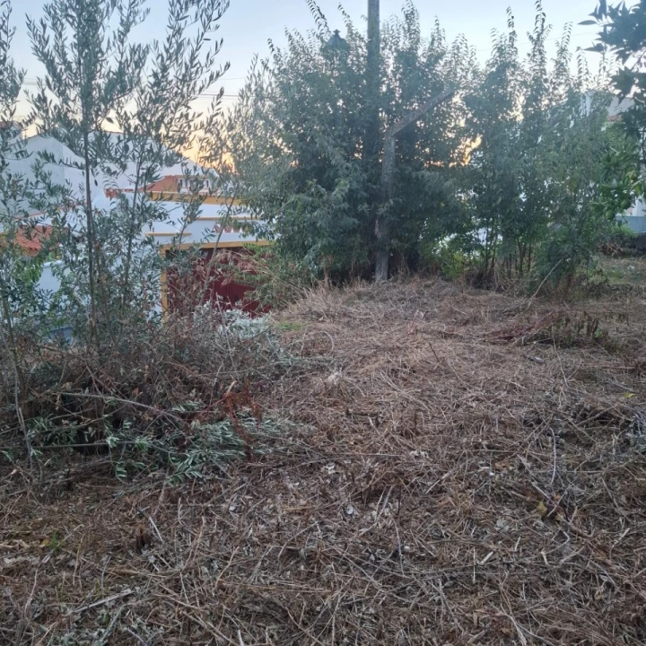 Moradia T2 para Venda em Sardoal Foto 11