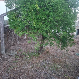 Moradia T2 para Venda em Sardoal