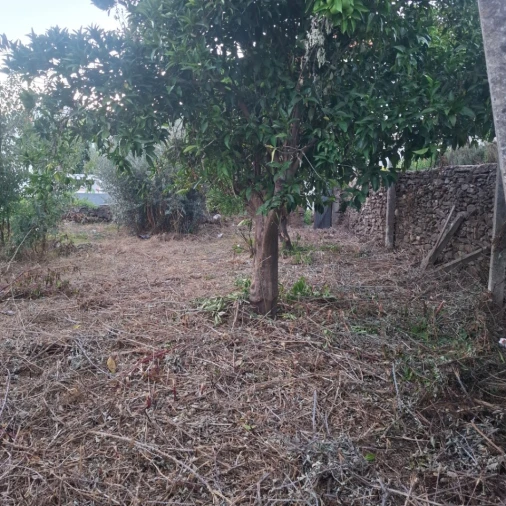 Moradia T2 para Venda em Sardoal Foto 8