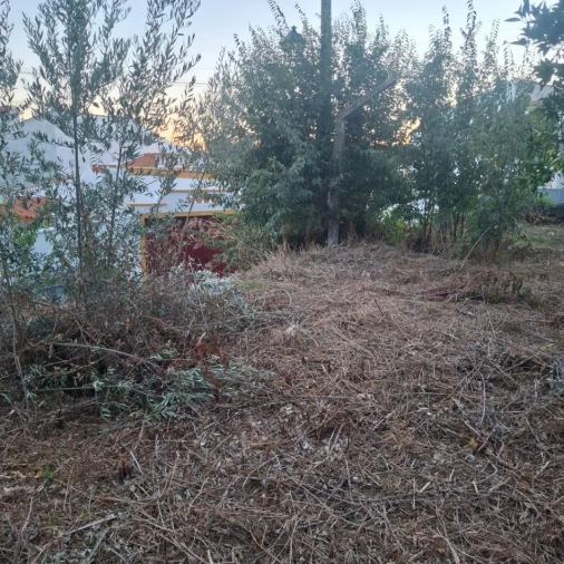 Moradia T2 para Venda em Sardoal Foto 11