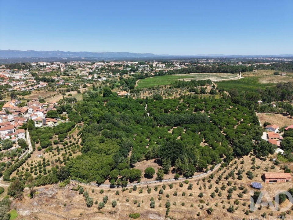 Terreno para Venda em Currelos, Papízios e Sobral Foto 8