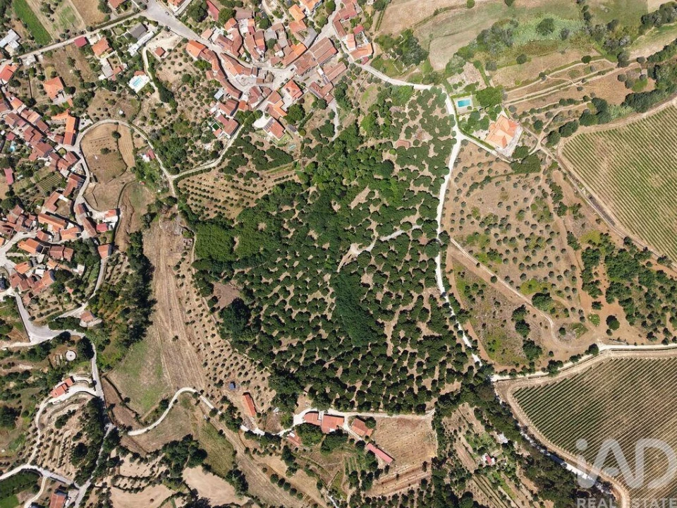 Terreno para Venda em Currelos, Papízios e Sobral Foto 1