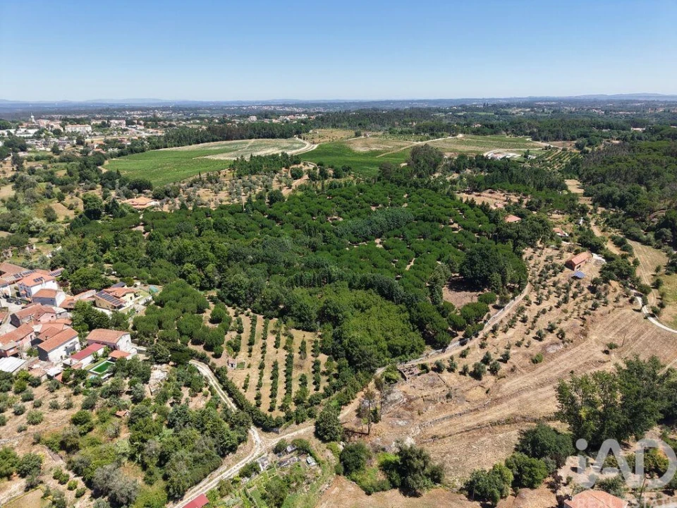 Terreno para Venda em Currelos, Papízios e Sobral Foto 7