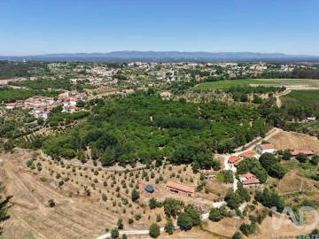 Terreno para Venda em Currelos, Papízios e Sobral