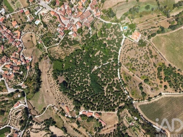 Terreno para Venda em Currelos, Papízios e Sobral