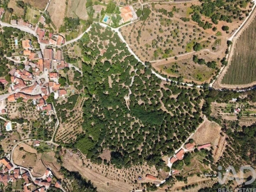 Terreno para Venda em Currelos, Papízios e Sobral