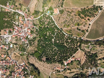 Terreno para Venda em Currelos, Papízios e Sobral
