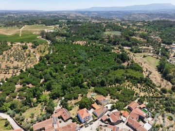 Terreno para Venda em Currelos, Papízios e Sobral