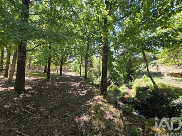 Terreno para Venda em Currelos, Papízios e Sobral