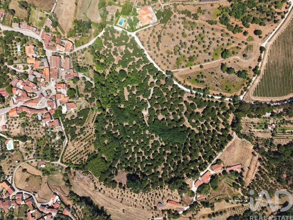 Terreno para Venda em Currelos, Papízios e Sobral Foto 2