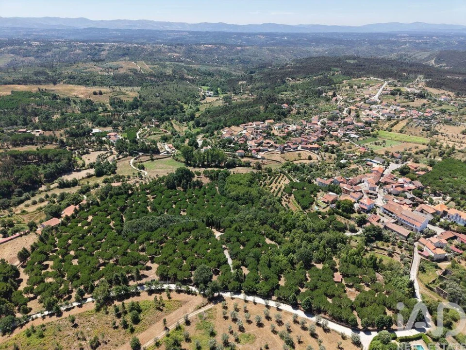 Terreno para Venda em Currelos, Papízios e Sobral Foto 5