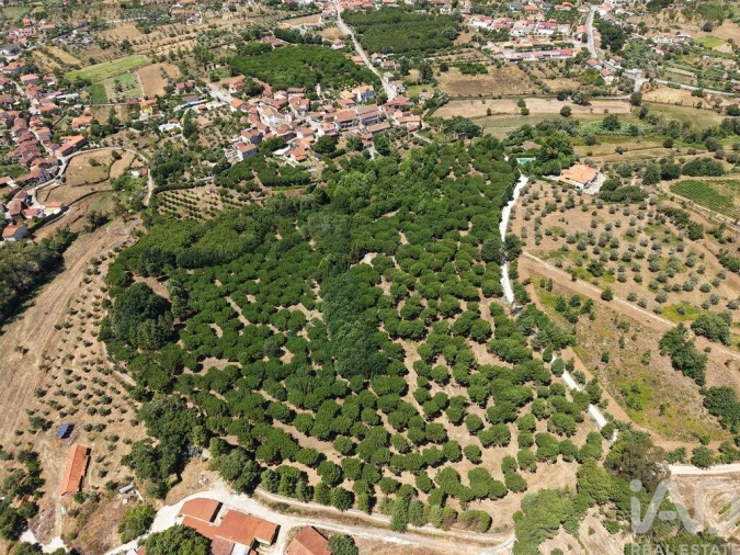 Terreno para Venda em Currelos, Papízios e Sobral Foto 4