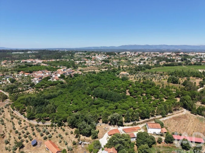 Terreno para Venda em Currelos, Papízios e Sobral Foto 10
