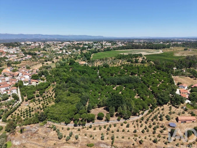 Terreno para Venda em Currelos, Papízios e Sobral Foto 8