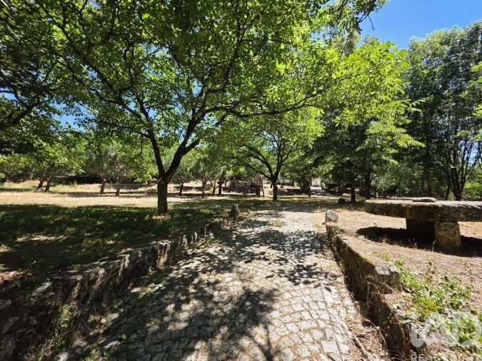 Terreno para Venda em Currelos, Papízios e Sobral Foto 15