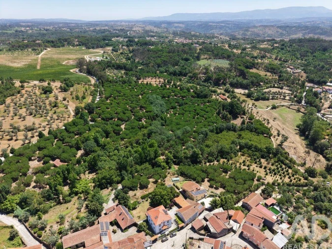 Terreno para Venda em Currelos, Papízios e Sobral Foto 6