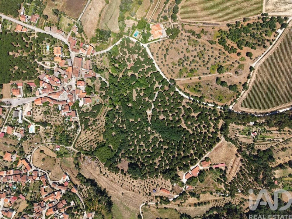 Terreno para Venda em Currelos, Papízios e Sobral Foto 3