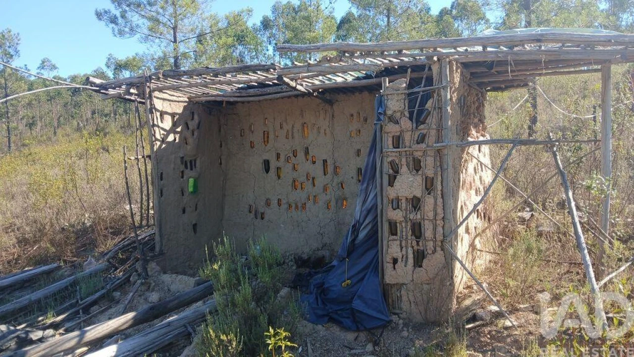 Terreno para Venda em Ninho do Açor e Sobral do Campo Foto 13