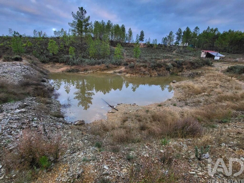 Terreno para Venda em Ninho do Açor e Sobral do Campo Foto 3