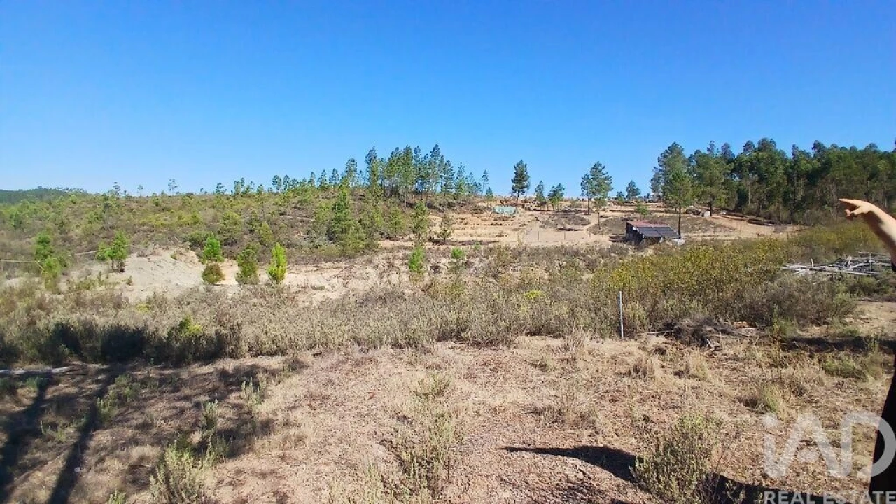 Terreno para Venda em Ninho do Açor e Sobral do Campo Foto 23