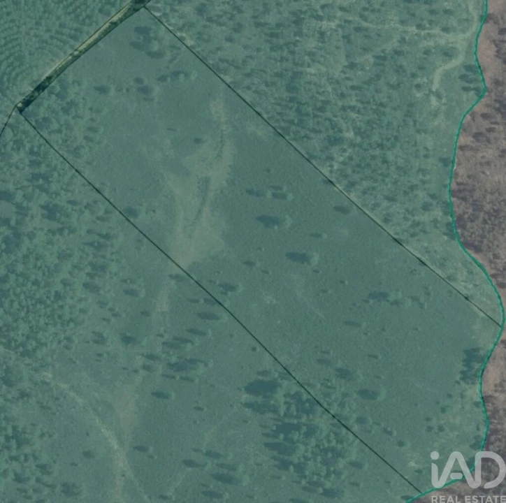 Terreno para Venda em Ninho do Açor e Sobral do Campo Foto 4