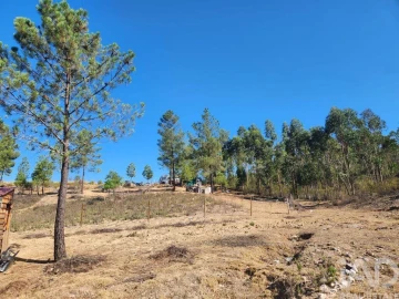 Terreno para Venda em Ninho do Açor e Sobral do Campo