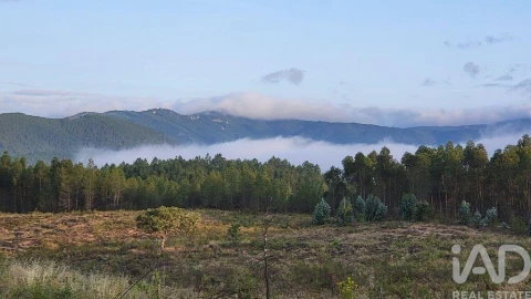 Terreno para Venda em Ninho do Açor e Sobral do Campo