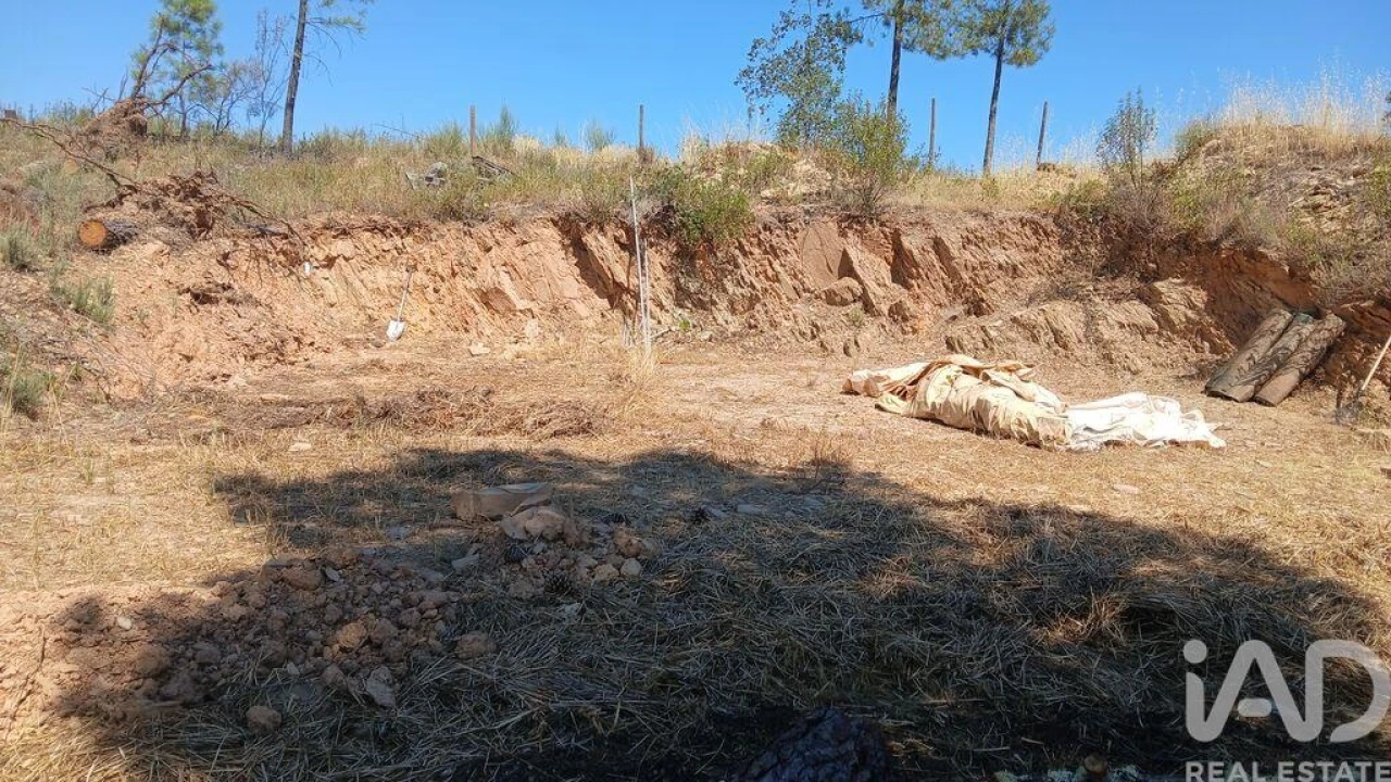 Terreno para Venda em Ninho do Açor e Sobral do Campo Foto 21