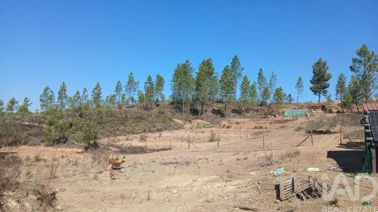 Terreno para Venda em Ninho do Açor e Sobral do Campo Foto 22