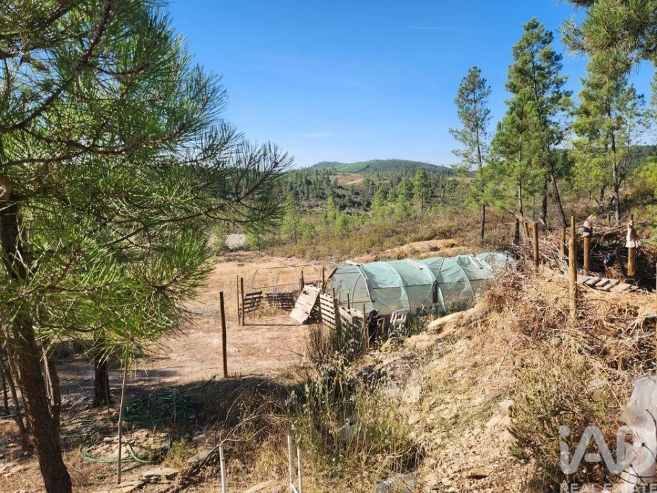 Terreno para Venda em Ninho do Açor e Sobral do Campo Foto 11