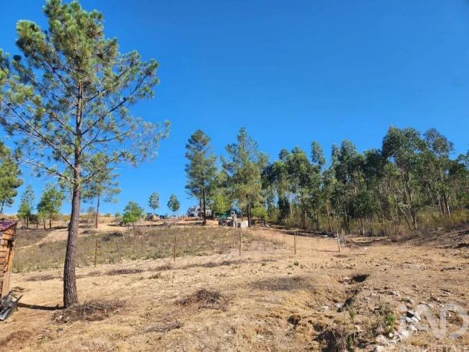 Terreno para Venda em Ninho do Açor e Sobral do Campo Foto 27