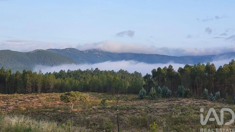 Terreno para Venda em Ninho do Açor e Sobral do Campo Foto 20