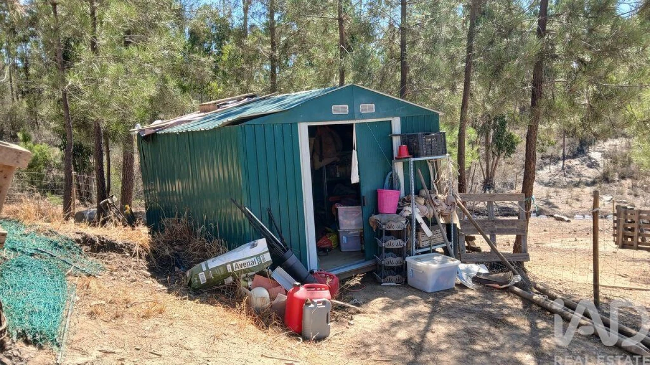 Terreno para Venda em Ninho do Açor e Sobral do Campo Foto 10