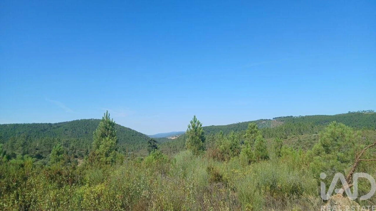 Terreno para Venda em Ninho do Açor e Sobral do Campo Foto 24