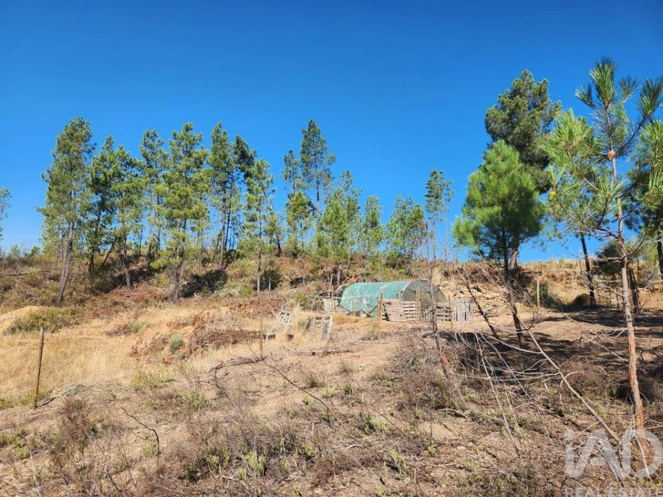 Terreno para Venda em Ninho do Açor e Sobral do Campo Foto 26