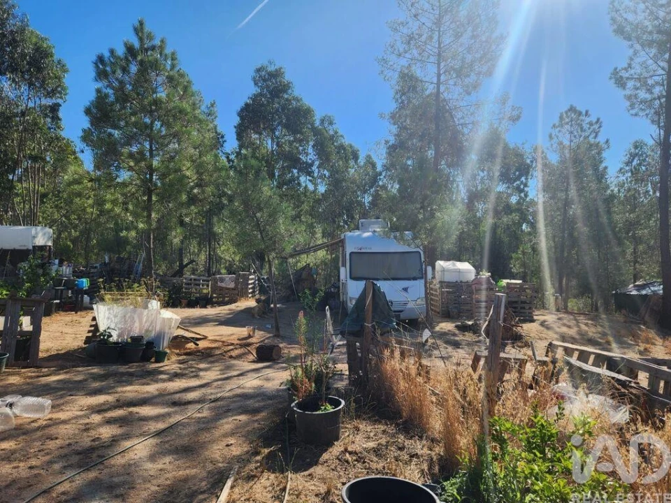 Terreno para Venda em Ninho do Açor e Sobral do Campo Foto 15