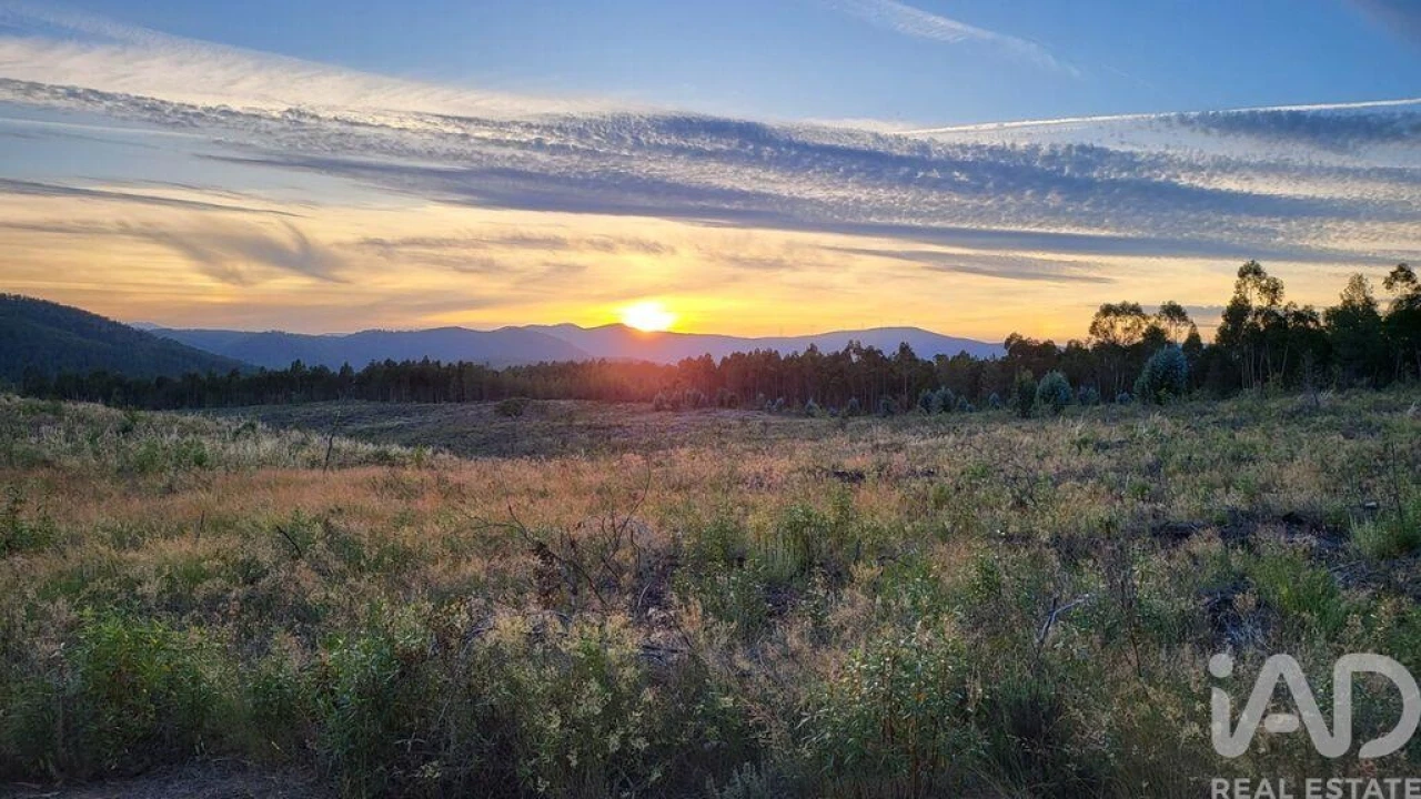 Terreno para Venda em Ninho do Açor e Sobral do Campo Foto 30