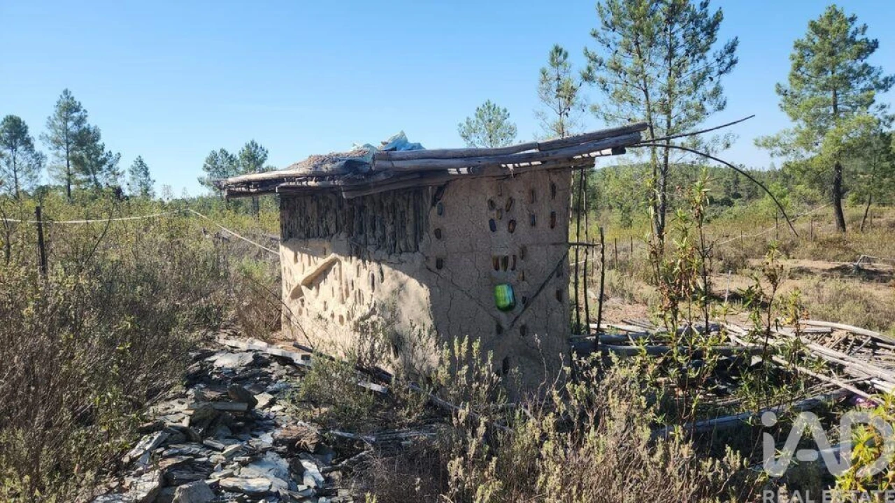 Terreno para Venda em Ninho do Açor e Sobral do Campo Foto 12