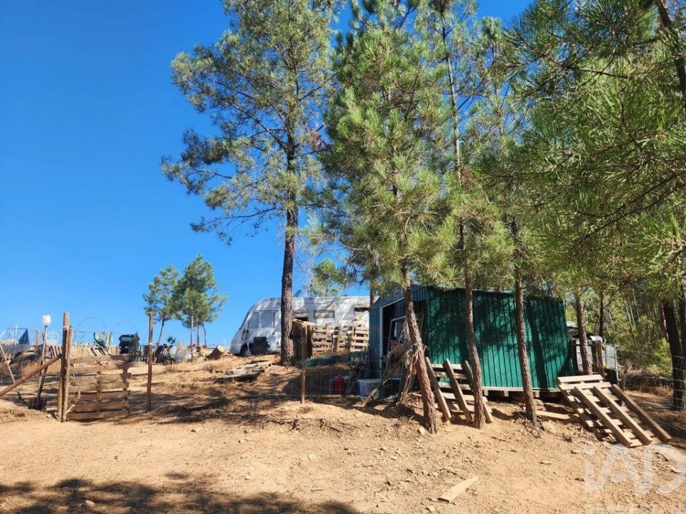 Terreno para Venda em Ninho do Açor e Sobral do Campo Foto 28