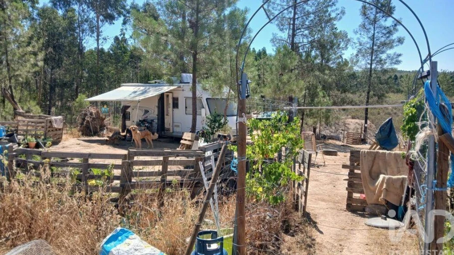 Terreno para Venda em Ninho do Açor e Sobral do Campo
