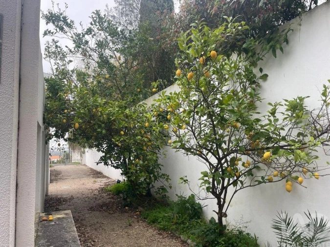 Moradia T7 para Venda em Quinta do Anjo Foto 6