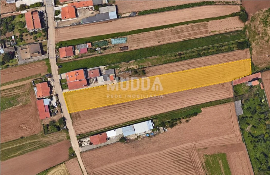 Terreno para Venda em Ovar, São João, Arada e São Vicente de Pereira Jusã Foto 1