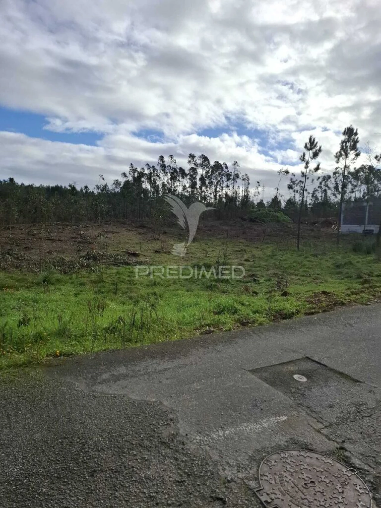 Terreno para Venda em Pedroso e Seixezelo Foto 12