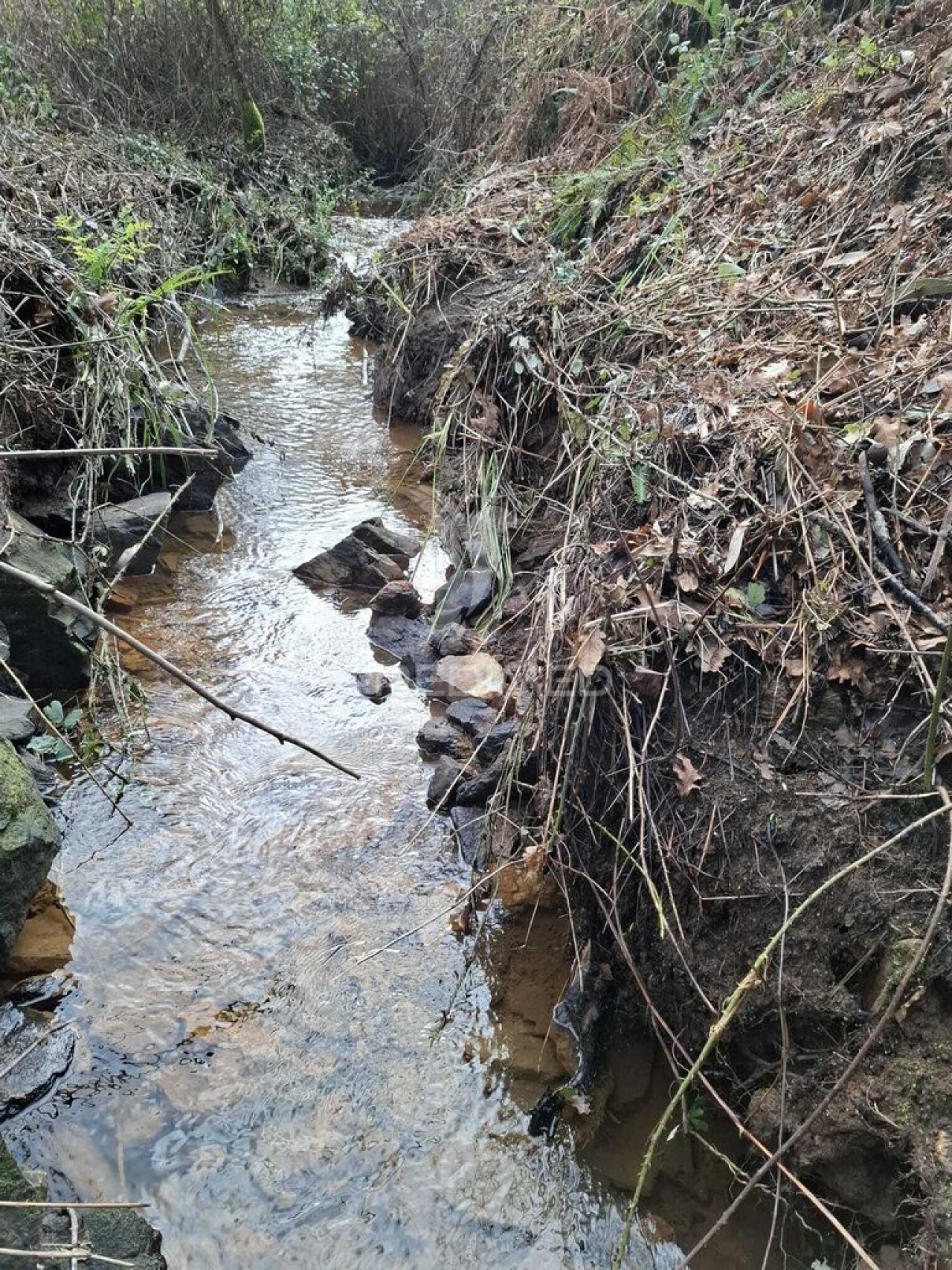 Terreno para Venda em Pedroso e Seixezelo Foto 9